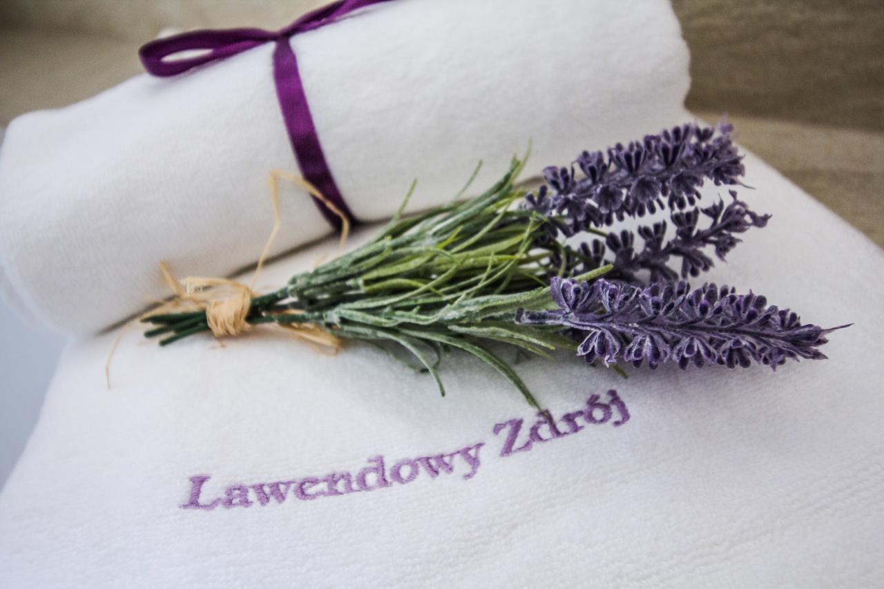 Lawendowy Zdroj Medycyna I Spa Busko-Zdrój Buitenkant foto